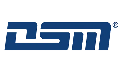 DSMLogo2